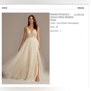 Beaded Plunging V Illusion Wedding Dress - Ivory (Size 2P)